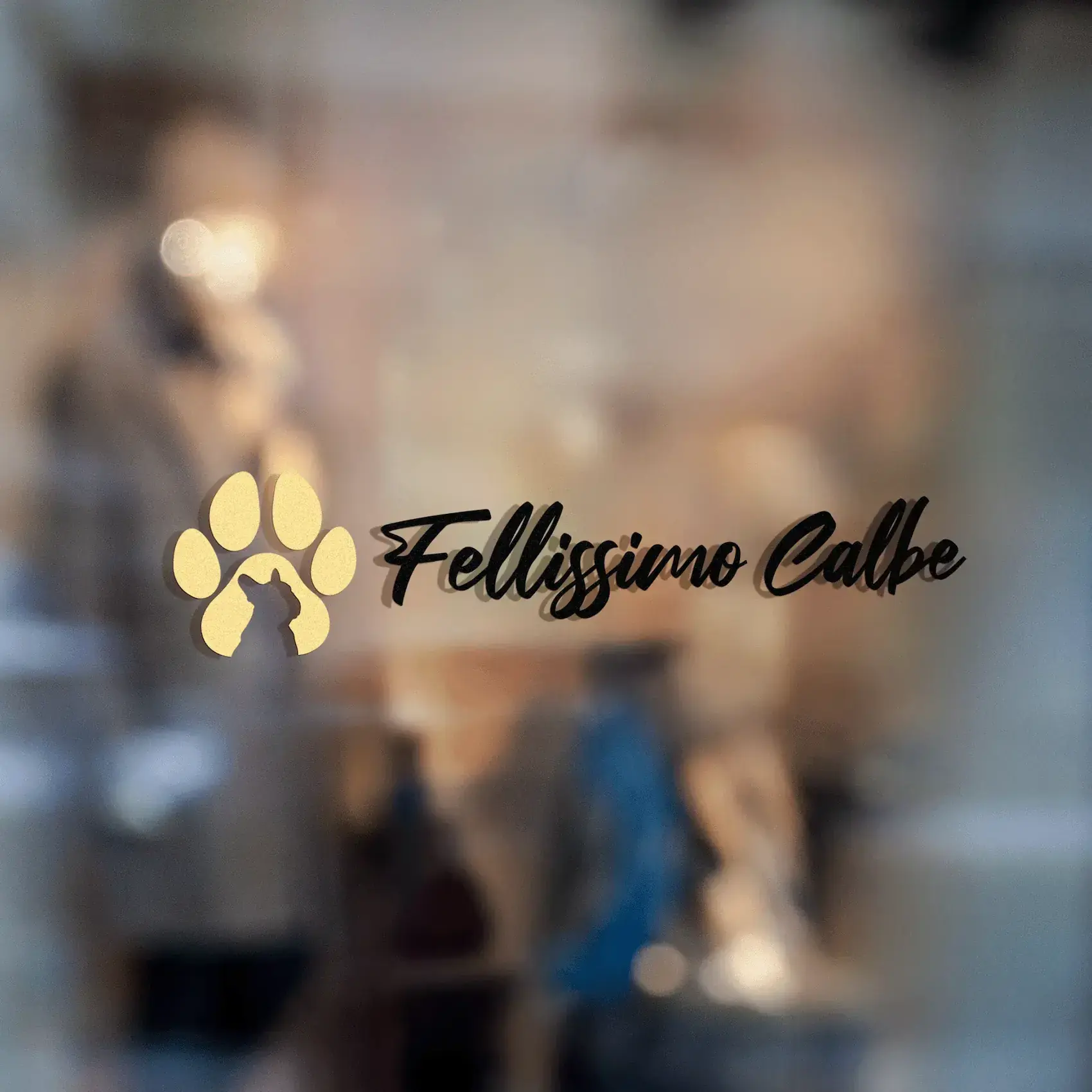 Fellissimo Calbe Logo on Window