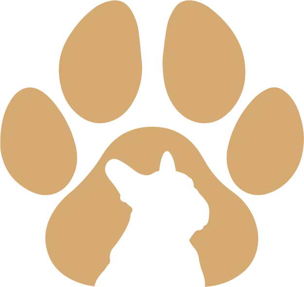 Fellissimo Calbe Logo